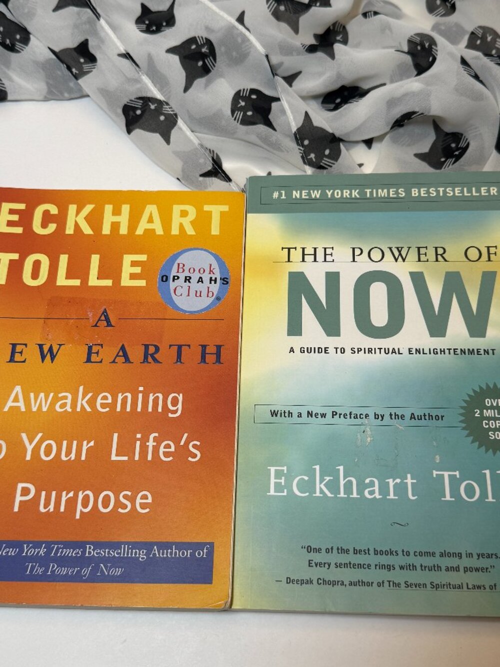2 Eckhart Tolle Books The Power Of Now A New Earth Spiritual Guide Enlightenment